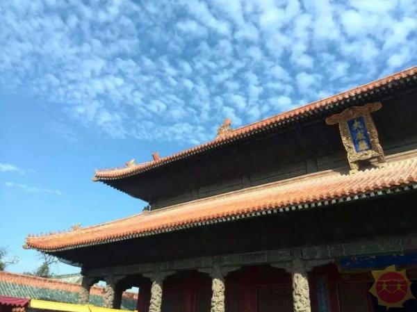 梦想起航之地，山东——奋斗者的舞台