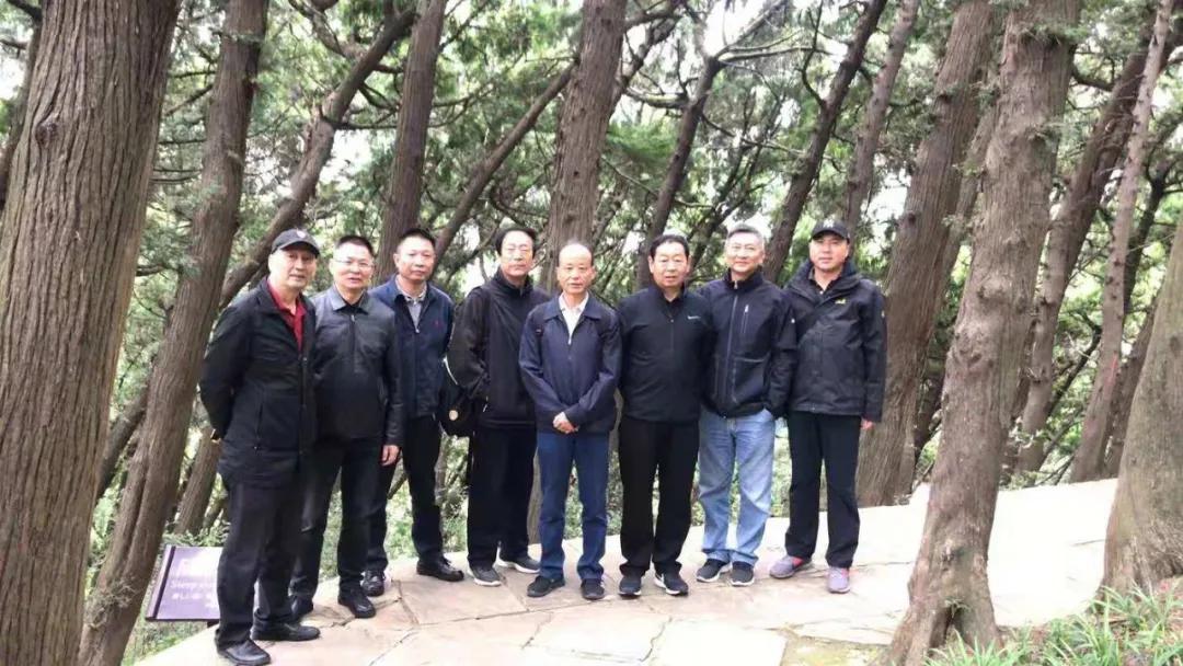 宁夏的魅力与风情