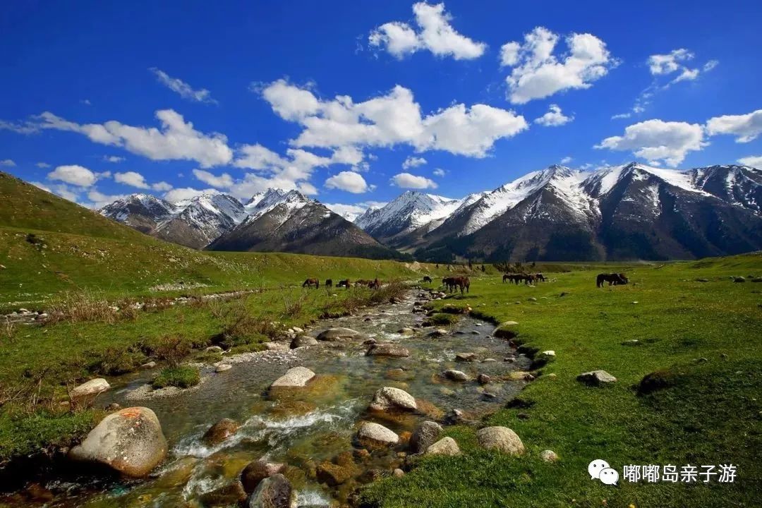 新疆之韵,探索独特文化与风情