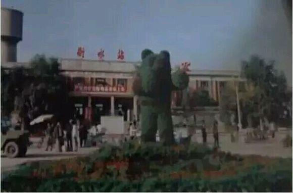 衡水智领潮头，探秘衡水前沿科技新品