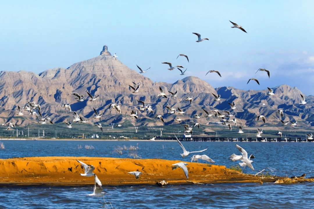 乌海之韵，城市魅力与韵味展现