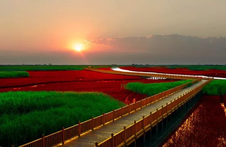 盘锦，湿地之城的独特韵味