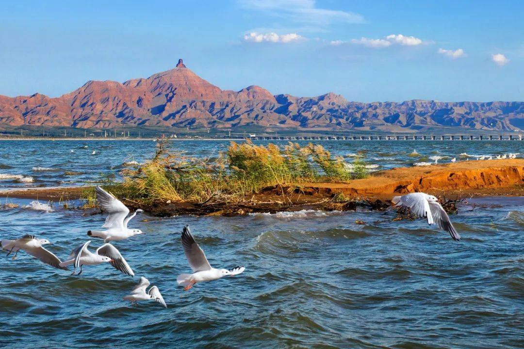 乌海，时代变迁的文学镜像